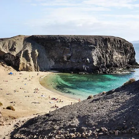 Roble * Yaiza (Lanzarote)