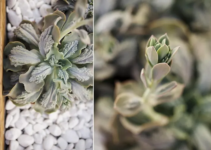 Βίλα Roble Yaiza (Lanzarote)